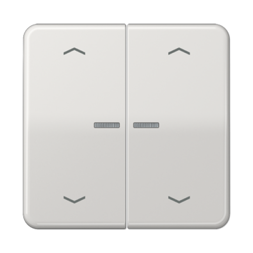 Tecla JUNG HOME pers. 2F CD gris claro