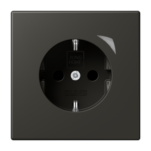 Enchufe JUNG HOME Energy. LC4320R