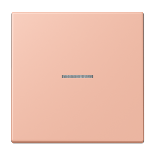 Tecla JUNG HOME 1 fase. LC32102