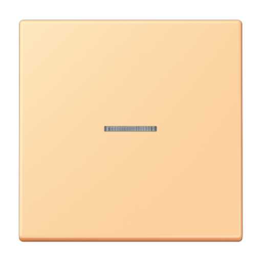 Tecla JUNG HOME 1 fase. LC4320P