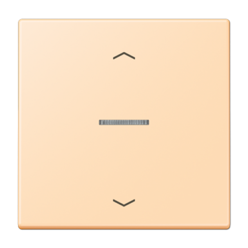 Tecla JUNG HOME 1 fase. pers. LC32060