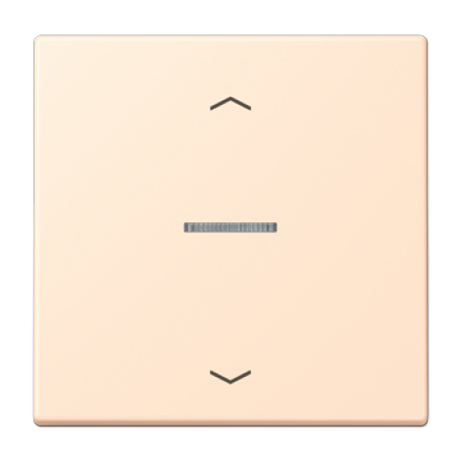 Tecla JUNG HOME 1 fase. pers. LC32123