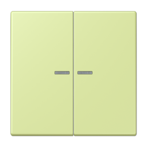 Tecla JUNG HOME 2 fases. LC32053