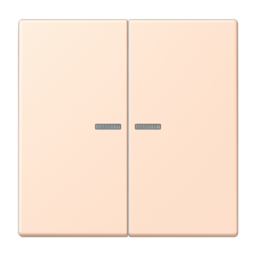 Tecla JUNG HOME 2 fases. LC32091