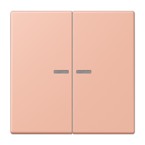 Tecla JUNG HOME 2 fases. LC32102