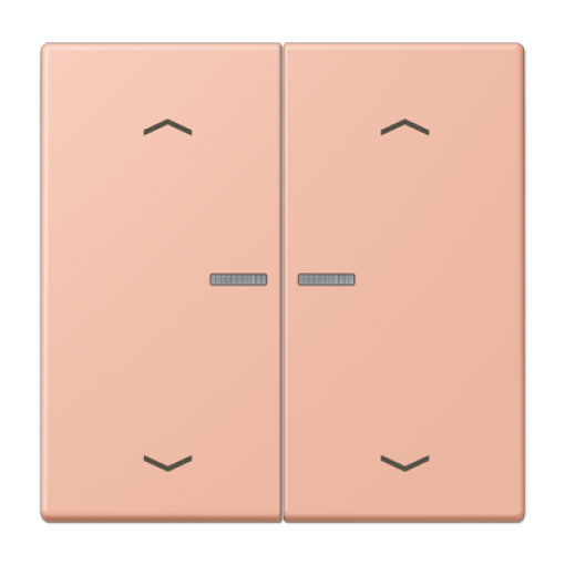 Tecla JUNG HOME 2 fases. pers. LC32102