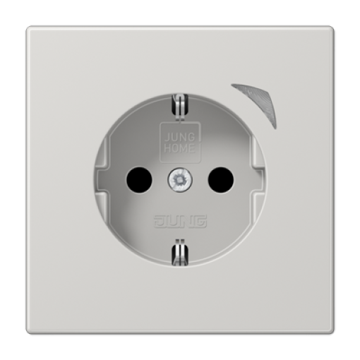 Enchufe JUNG HOME Energy LS gris claro