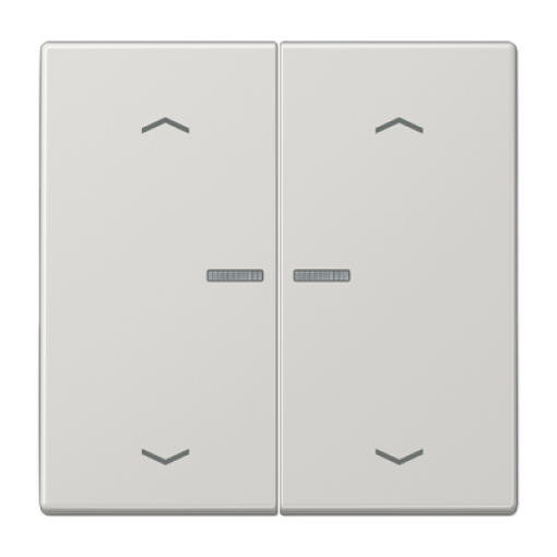 Tecla JUNG HOME pers. 2F LS gris claro