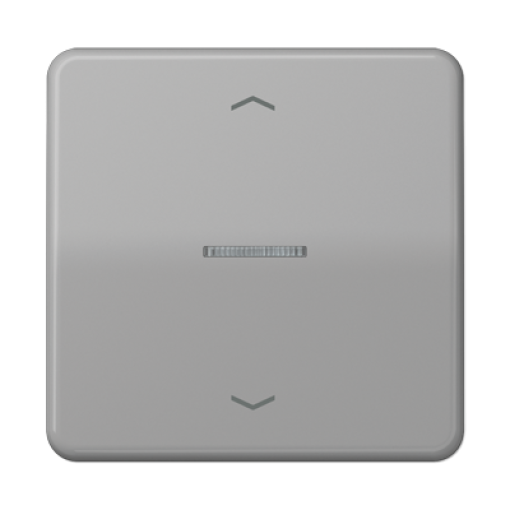 Tecla simple visorpers JH CD gris