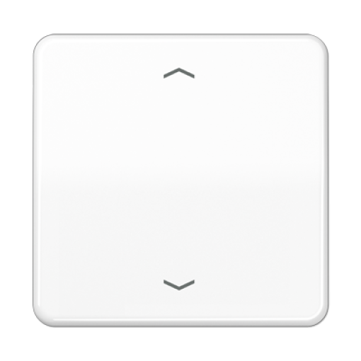 Tecla pulsador simple pers. CD bl. alpi