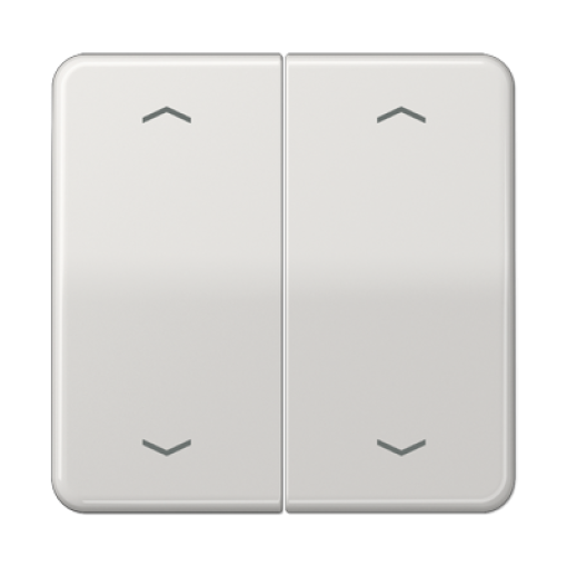 Tecla pulsador doble pers. CD gris cl