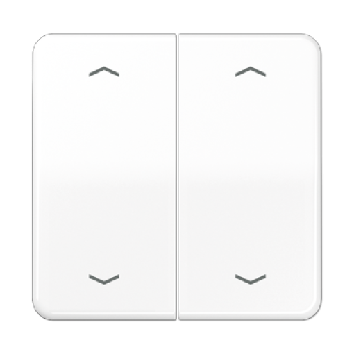 Tecla pulsador doble pers. CD bl. alpi