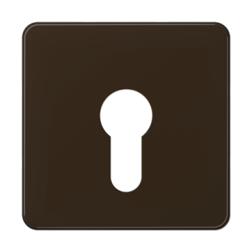 Paca interruptor llave. CD marrón