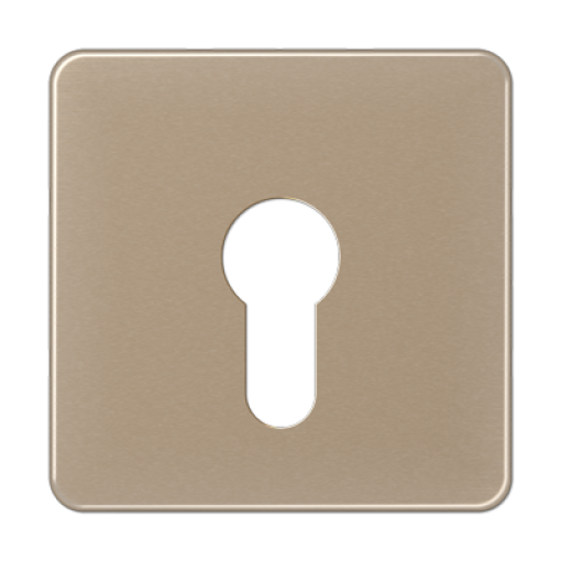 Paca interruptor llave CD bronce-oro