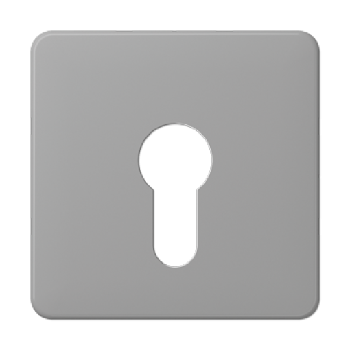 Paca interruptor llave CD gris