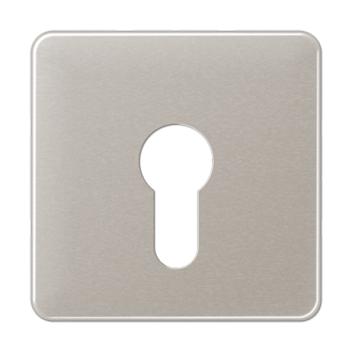 Paca interruptor llave CD platino