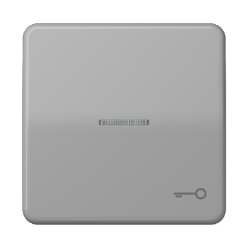Tecla cvisor simb. puerta CD gris