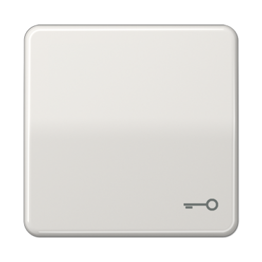 Tecla csimb. puerta CD gris claro