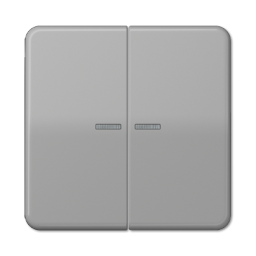 Tecla doble cvisor CD gris