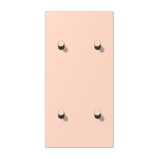 Placa 2x2 palvert cilin LS1912 LC32112