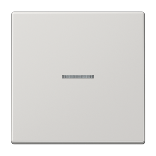 Tecla simple visor JH LS gris claro