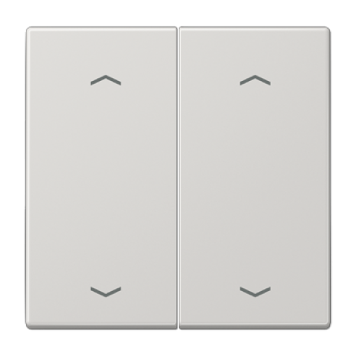 Tecla pulsador doble pers. LS gris cl