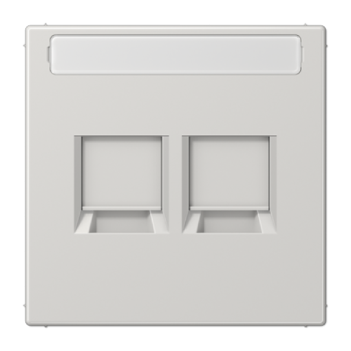 Placa Mod.Jack 2 tomas inscr. LS gris cl