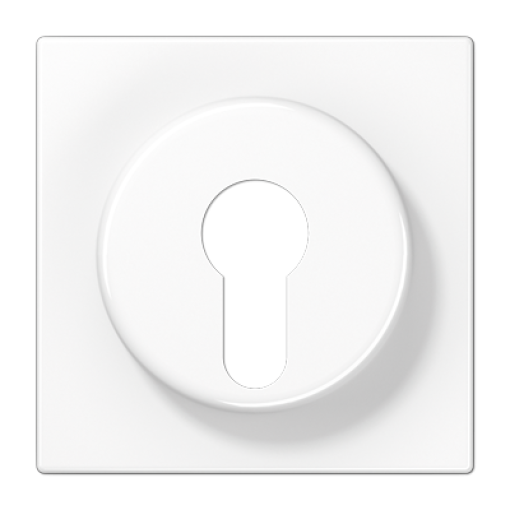 Placa interruptor llave LS bl. alpi