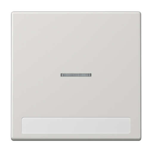 Tecla c visor e inscr. LS gris claro