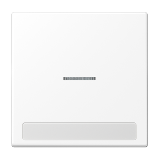 Tecla c visor e inscr. LS blanco mate