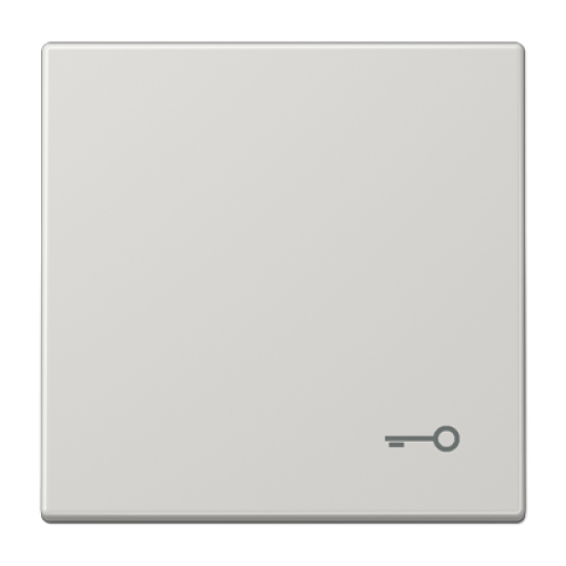 Tecla csimb. puerta LS gris claro