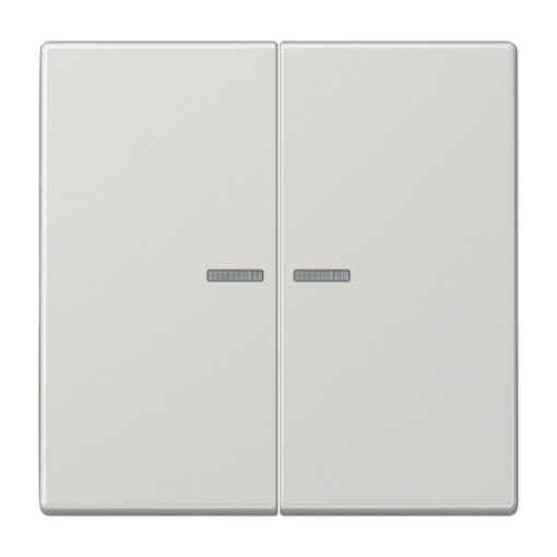 Tecla doble cvisor LS gris claro