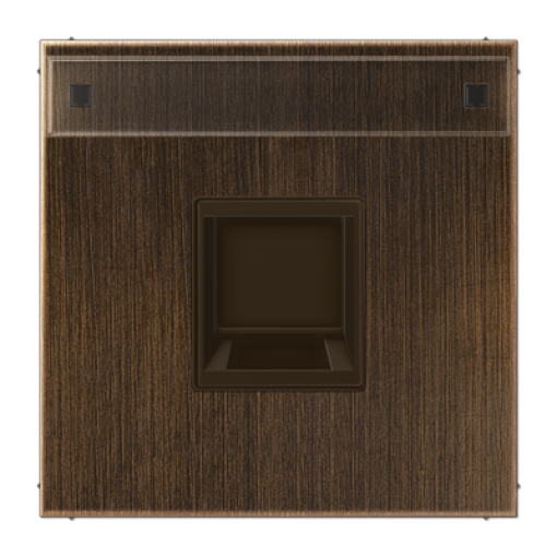 Placa Mod. Jack 1 toma inscr. LS lat an