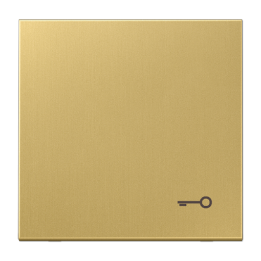 Tecla csimb. puerta LS latón classic