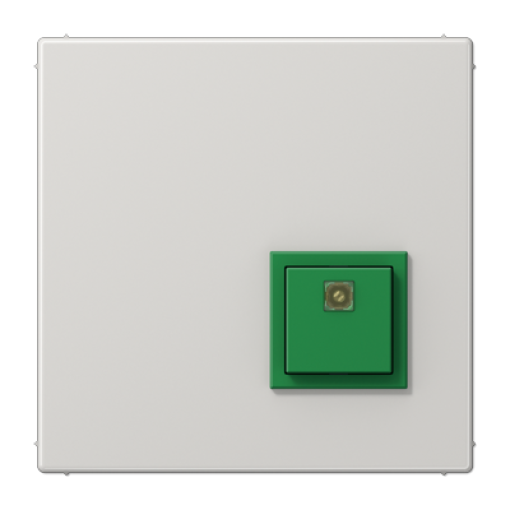 Pulsador confirmación LS gris claro