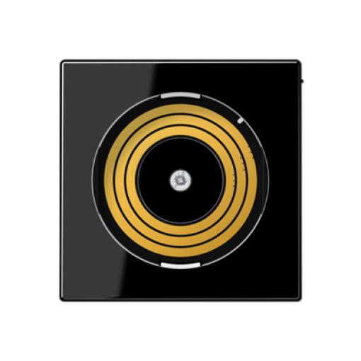 Placa central P&L. A negro