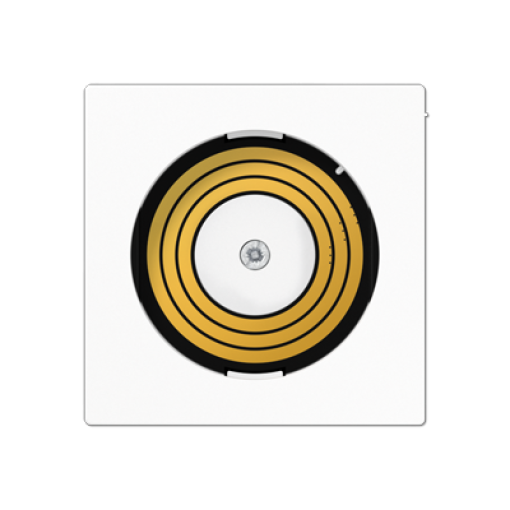 Placa central P&L. A blanco alpino