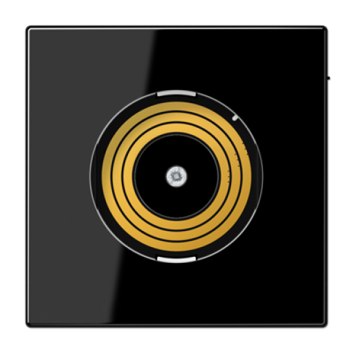 Placa central P&L. LS negro