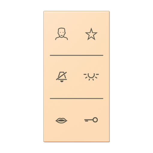 Placa con símbolos de video LC32060