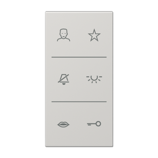 Placa con símbolos video. LS gris claro