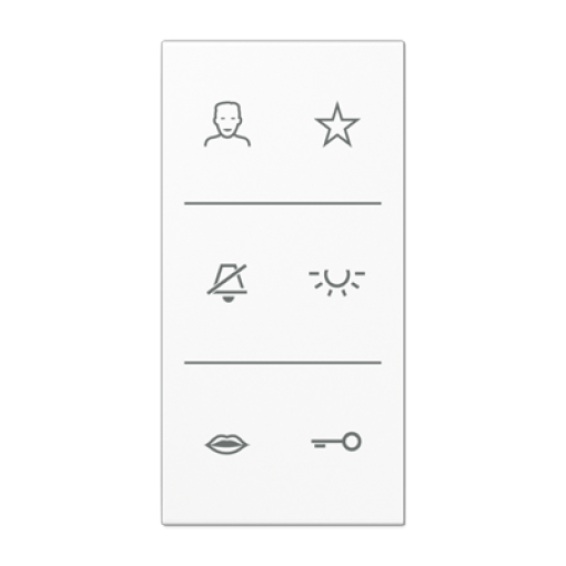 Placa con símbolos video. LS bl. alpi