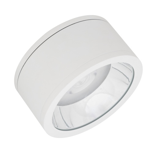 DOWNLIGHT SURFACE IP65 DN 250 P 45W 840 60D WT