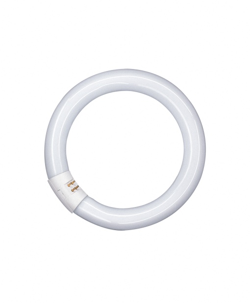 LUMILUX T9 C 40 W840 G10Q