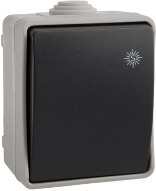 Comuntador/ interruptor estanque 10AX 250V ~. IP54. De superfície.