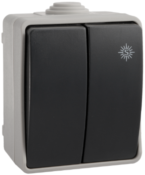 Comutador duplo / interruptor estanque 10AX 250V ~. IP54. De superfície.