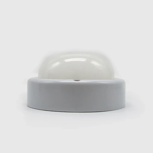 Ceiling Light Oval LED 8W