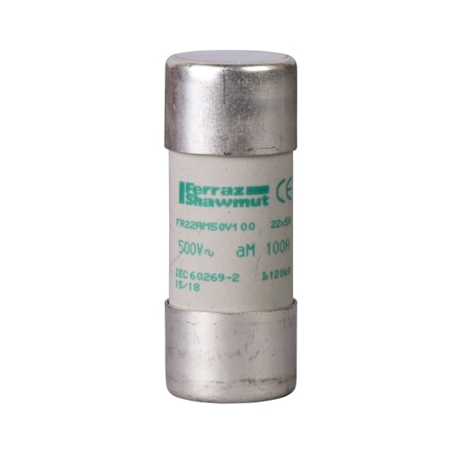 TeSys porta-fusível - cartucho fusível 22 x 58 mm - aM 100 A - s indicação