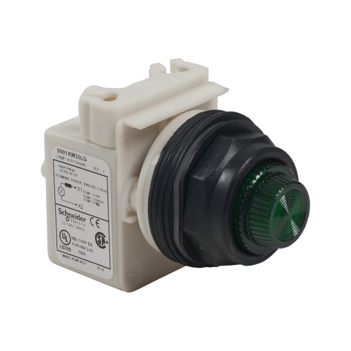 PILOT LIGHT 120V 30MM SK OPTIONS