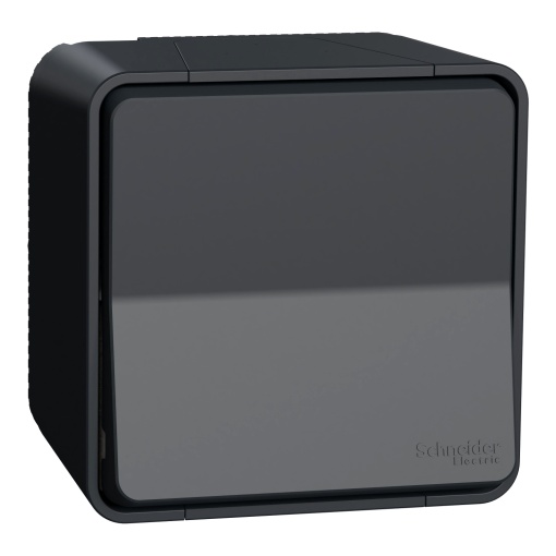 Inversor de grupo monobloco, Mureva Styl, saliente, IP55, 10A, Cinzento