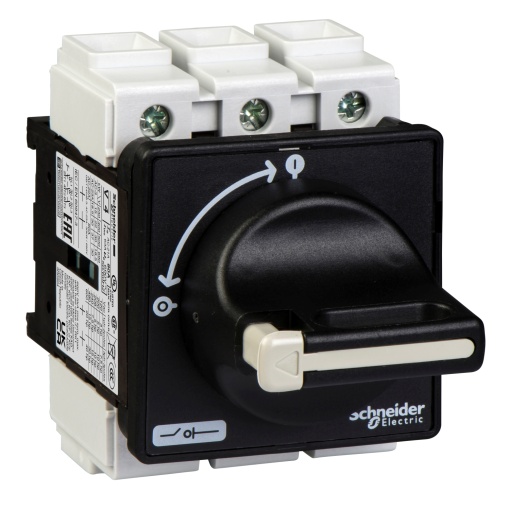 TeSys Vario - switch disconnector - 80 A - on door